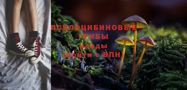 винт Магас
