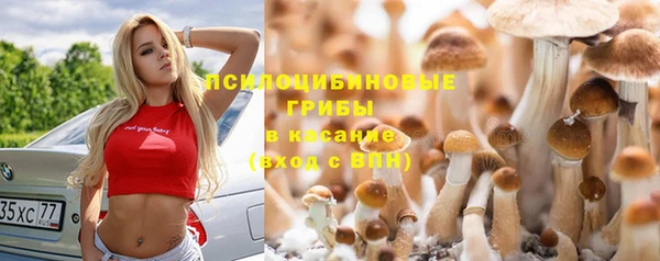 СК Майский