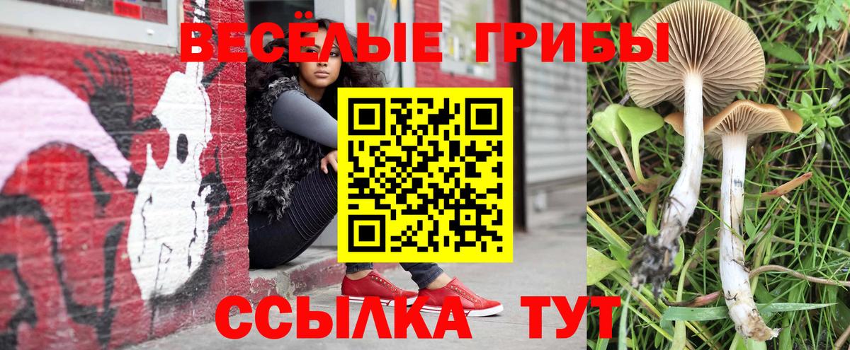 Лобня  Галлюциногенные грибы MAGIC MUSHROOMS  Вход с VPN  Псилоцибиновые грибы мухоморы 